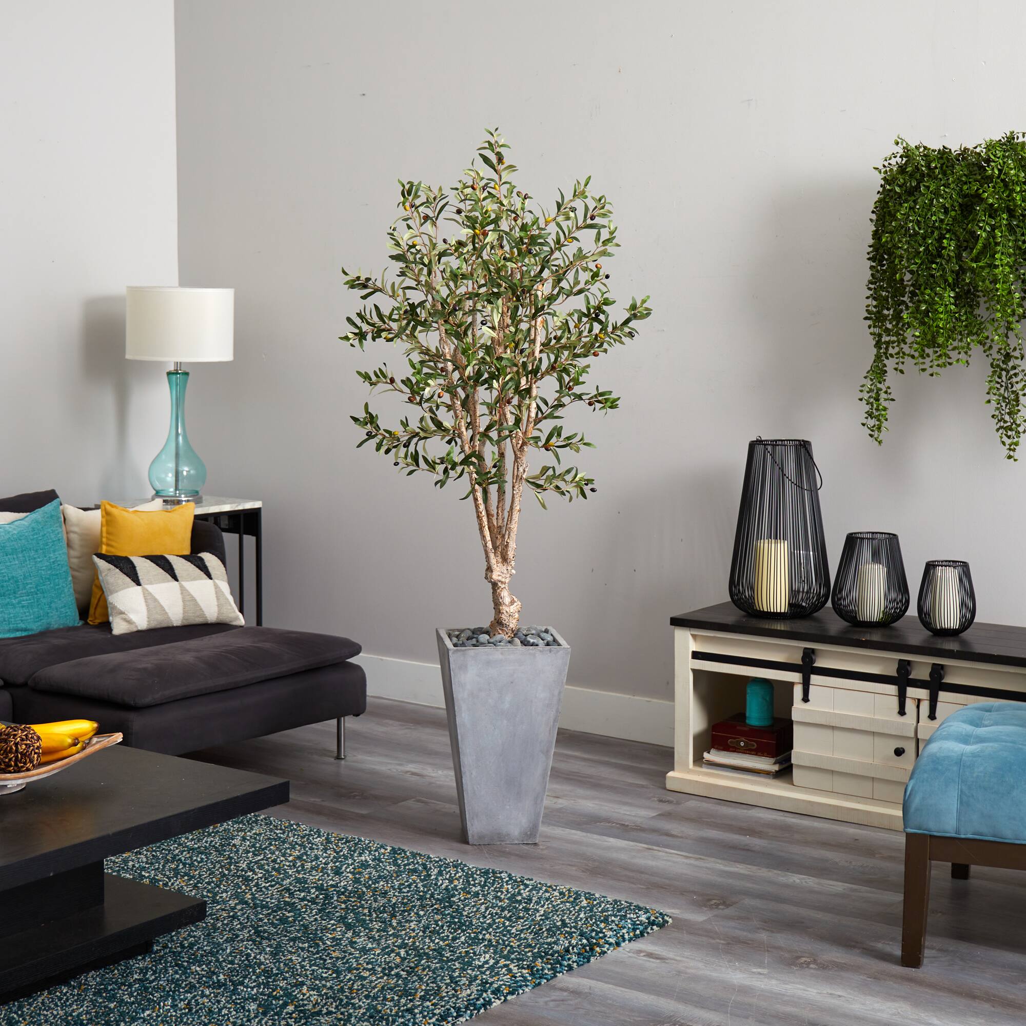 6ft. Olive Tree in Stone Planter